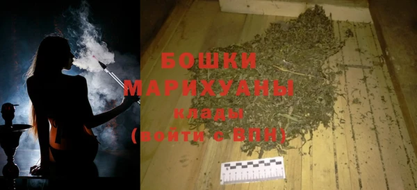 тгк Пересвет