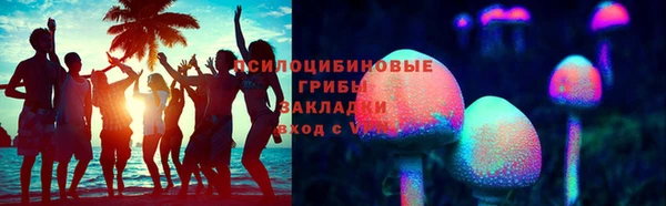 дурь Алзамай